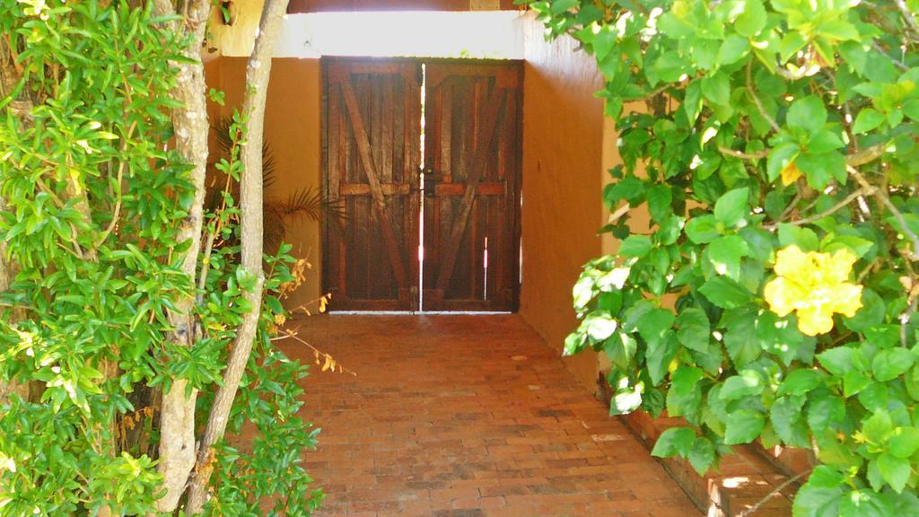 Vineyards Country Home Guest Room Blomtuin Bagian luar foto